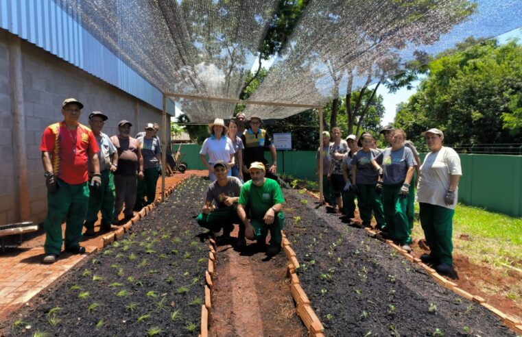 Catadores da UVR do Campos do Iguaçu terão horta comunitária para o plantio de hortaliças e plantas medicinais