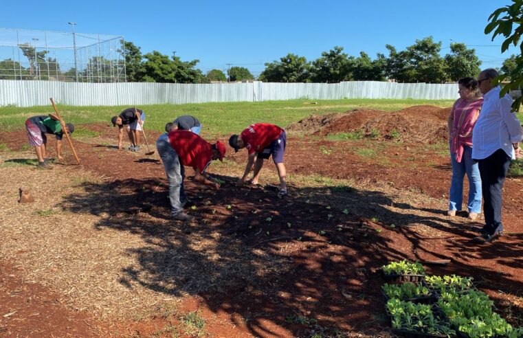 Prefeitura de Foz inicia o plantio de mudas was em nova horta comunitária no Conjunto Bubas