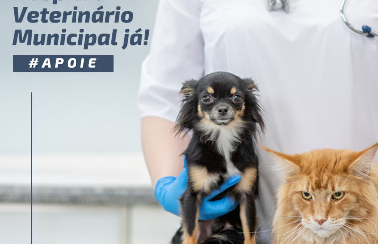 Projeto de iniciativa popular pede construção de hospital para emergências veterinarias