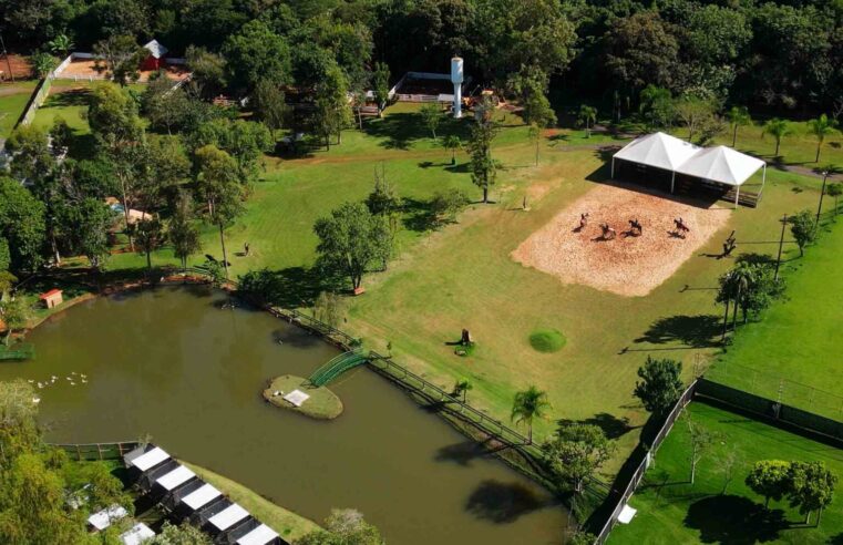 Centro de Falcaria passa a integrar o Dreams Eco Park