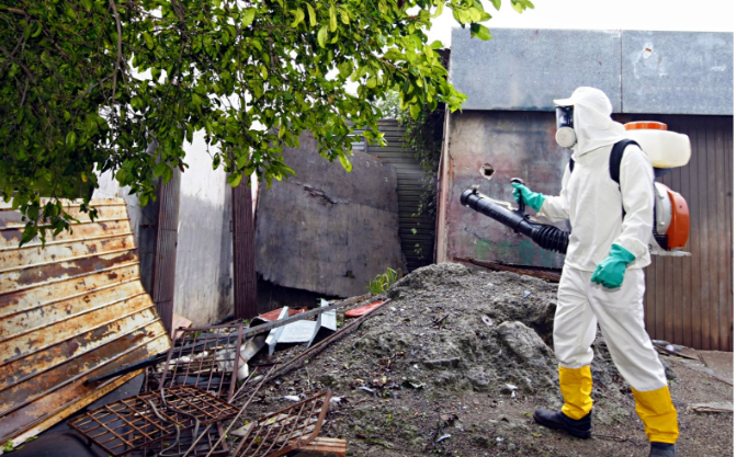 Năo facilita para o mosquito da dengue! Junte-se à Câmara de Foz e integre à mobilização contra a doença