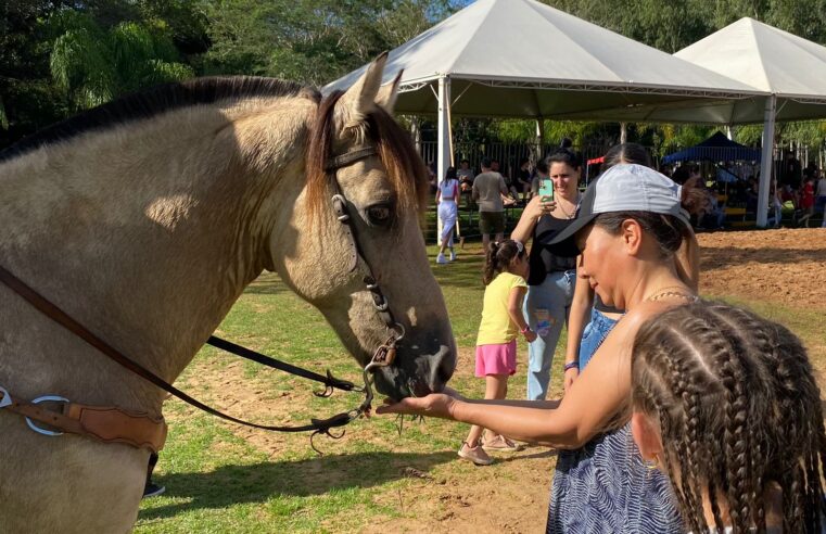 Dreams Eco  Park tem crescimento de 87% no feriado de Páscoa