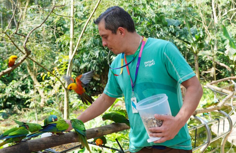 Parque das Aves espera receber 110 mil visitantes nas férias de julho com programação especial