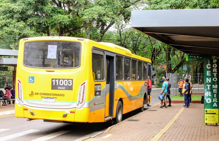 Transporte Coletivo: Linha 116 – Jardim das Flores será ampliada a partir de setembro