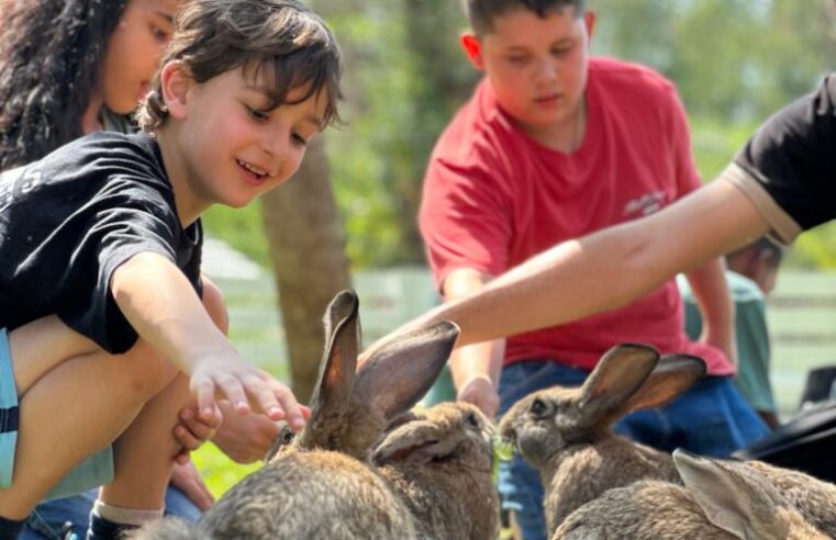 Eco Park prepara programação especial para o Dia das Crianças