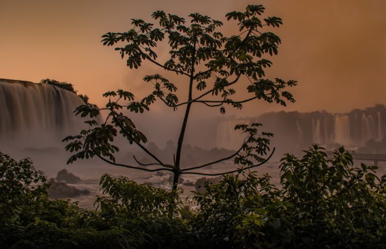 Parque Nacional do Iguaçu terá atendimento especial no feriadão de 12 de outubro