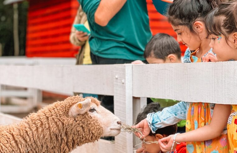 Eco Park oferece gratuidade para crianças menores de seis anos