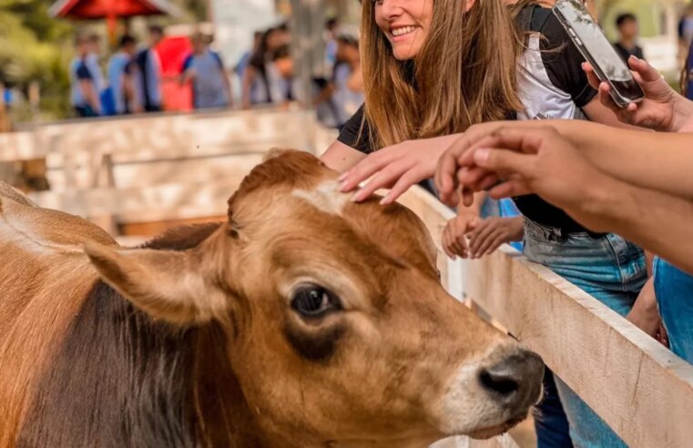 Eco Park contribui para o aumento da permanência do turista em Foz