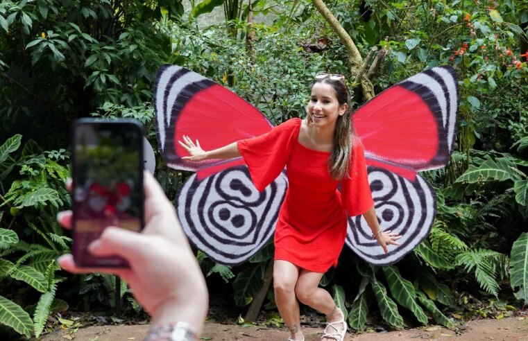 Celebrando o orgulho de ser de Foz do Iguaçu, Parque das Aves oferece entrada gratuita para moradores no mês de aniversário da cidade