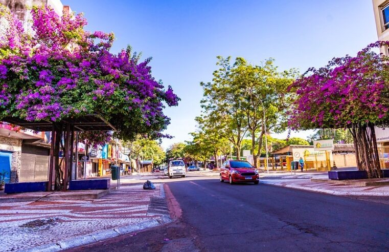 Prefeitura de Foz do Iguaçu leva arte à Avenida Brasil com ação cultural aos sábados