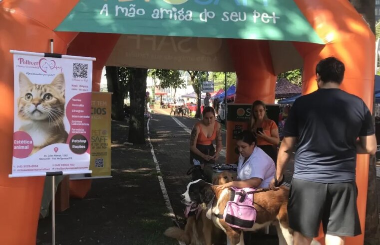 PetSaff comemora 3 anos com ação especial envolvendo cães terapeutas