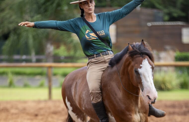 Eco Park Foz estreia apresentação que conta o relacionamento entre homem e cavalo