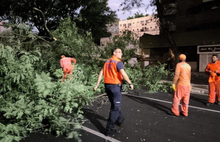 Defesa Civil atende ocorrências causadas pelas rajadas de vento, no final da tarde desta quarta-feira (5)