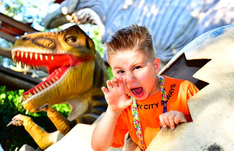 Autistas têm entrada gratuita dia 2 em todos os atrativos do Complexo Dreams Park Show