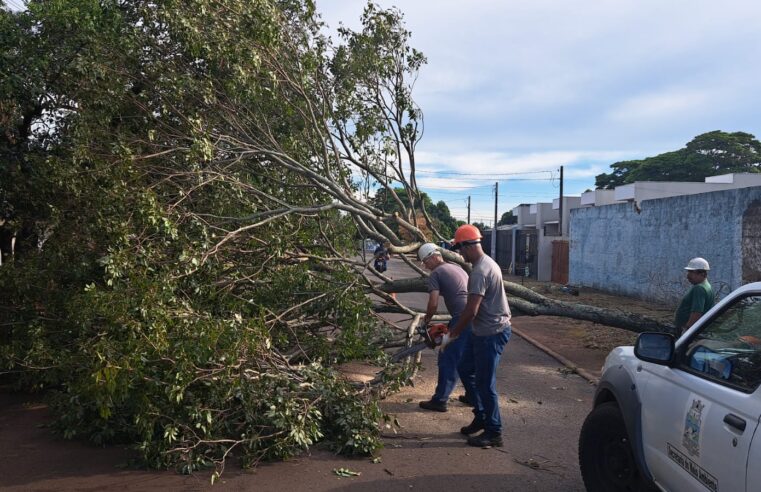 Defesa Civil de Foz terá apoio do Estado para atendimento a estragos causados pelas chuvas