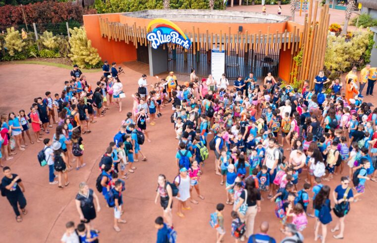 Inscrições esgotadas para a 16.ª Meia Maratona das Cataratas