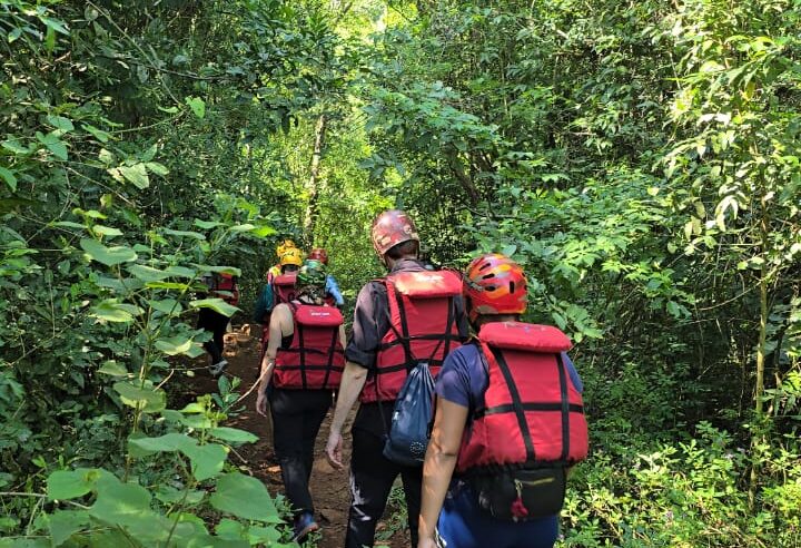 Foz terá curso prevenção de acidentes com animais peçonhentos e perigosos