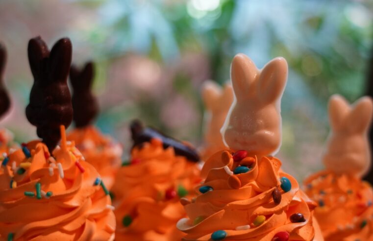 Parque das Aves espera receber 14 mil visitantes durante os feriados de Páscoa e Tiradentes