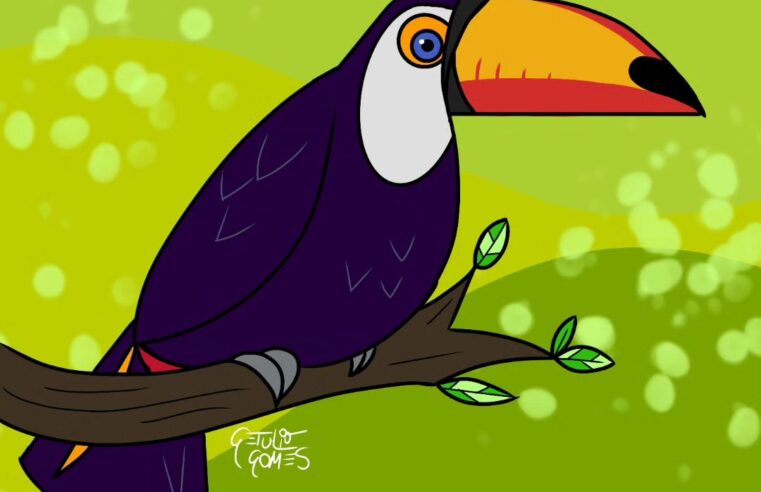 Parque das Aves lança concurso de desenho em homenagem ao mês da Mata Atlântica