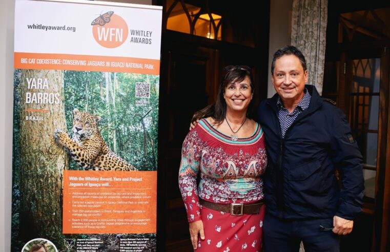 Projeto Onças do Iguaçu lança programa Empresa Amiga da Onça