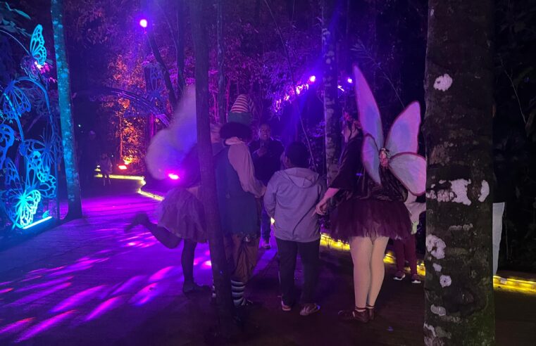 Wonder Park Foz lança campanha solidária para Casas Lares durante o mês de julho