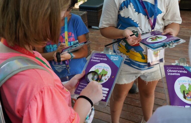 A Mata Atlântica te espera: últimas vagas para a Colônia de Férias!Mata Atlântica te espera: últimas vagas para a Colônia de Férias