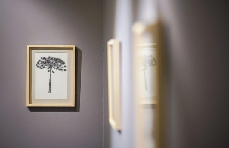 Ministério da Cultura e Fundação Cultural apresentam a exposição “DEVOÇÃO” da artista paranaense Karina Amadori