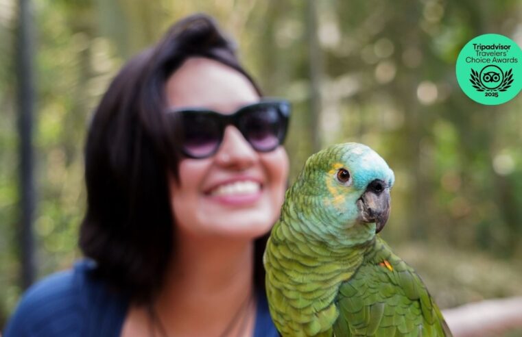 Parque das Aves recebe selo Travellers’ Choice 2025 e lidera lista do TripAdvisor