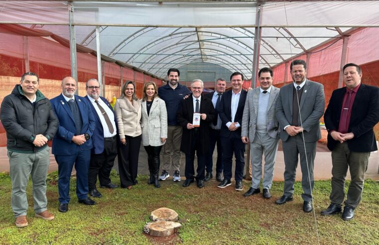 Vereadores realizam visita técnica à sede e complexo terapêutico da AFA