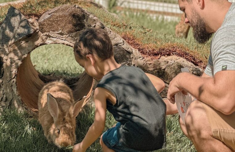 Oficina de desenhos e exposições marcarão o Dia dos Pais no Eco Park Foz