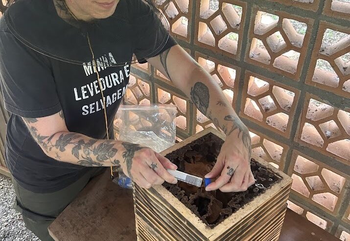 Pesquisa identifica leveduras com potencial para indústria do etanol e da cerveja