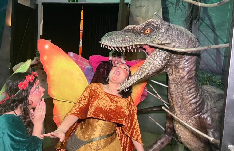 Wonder Park Foz se consolida como atração obrigatória no roteiro turístico da cidade