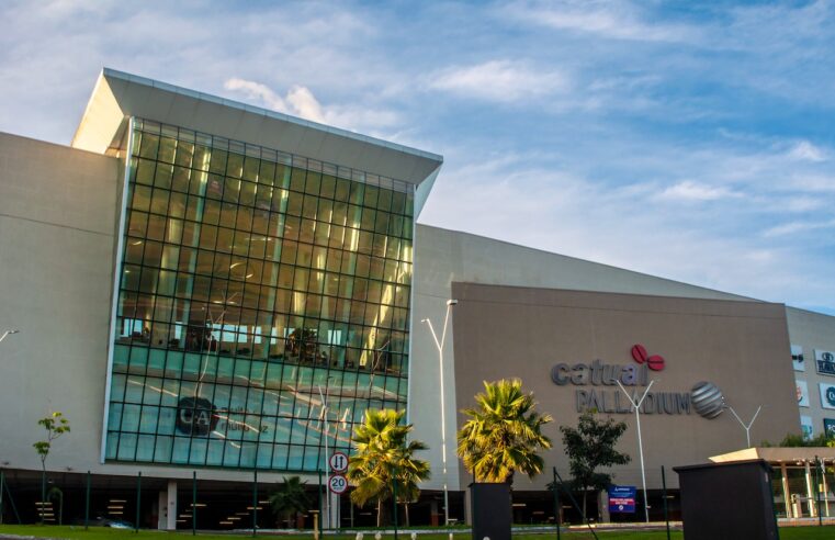 Dia do Cão será celebrado no Catuaí Palladium com direito a Desfile de Animais para adoção