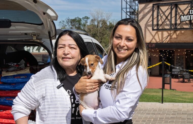 Complexo Dreams entrega 1º lote de ração e prorroga campanha “Patinhas Solidárias” até o Dia do Cliente