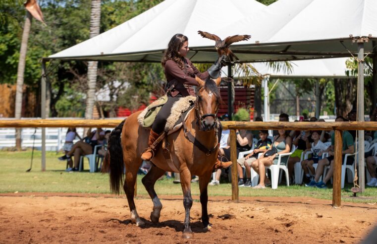 Eco Park Foz cresce cerca de 32% no número de visitantes em 2025
