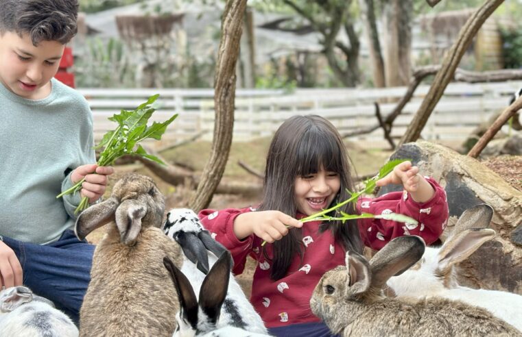 Diversão garantida: Eco Park Foz celebra o Dia das Crianças com programação especial
