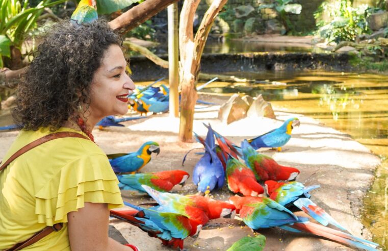 Parque das Aves de graça: moradores de Foz poderão celebrar o aniversário do atrativo com entrada gratuita