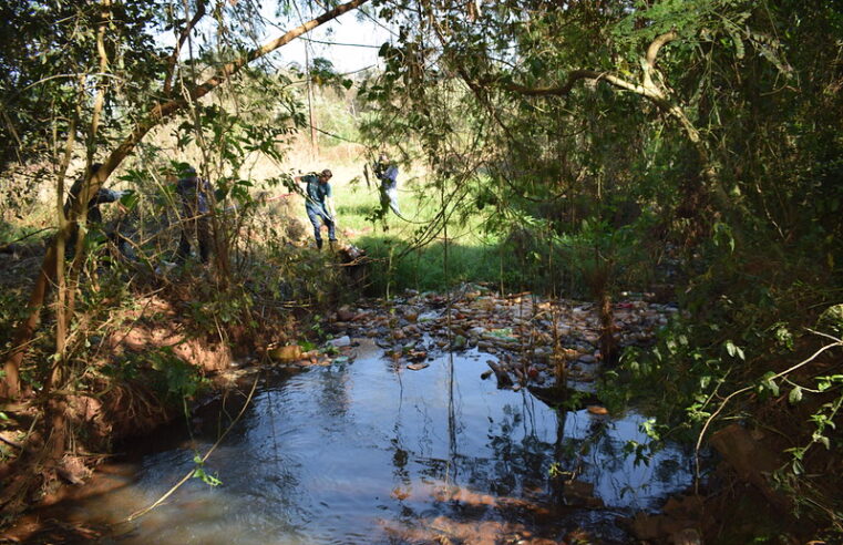 Secretaria de Meio Ambiente promove ação pelo Dia Mundial de Rios, Praias e Lagoas neste sábado (20)