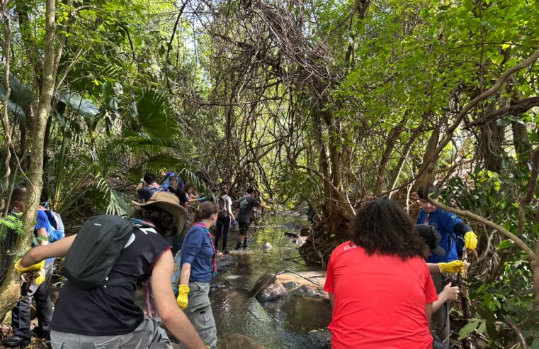 Secretaria de Meio Ambiente faz ação de limpeza de rios e cachoeiras em sete pontos de Foz