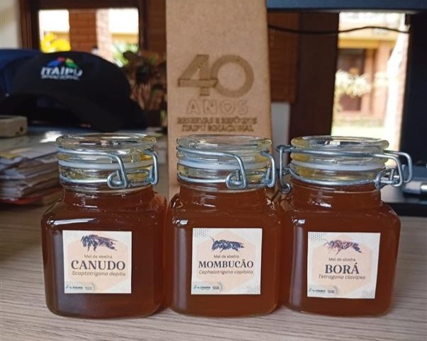 Itaipu conquista 1º e 2º lugar em concurso de mel de abelhas