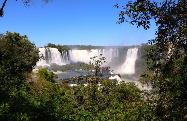 Primavera colore e transforma o Parque Nacional do Iguaçu