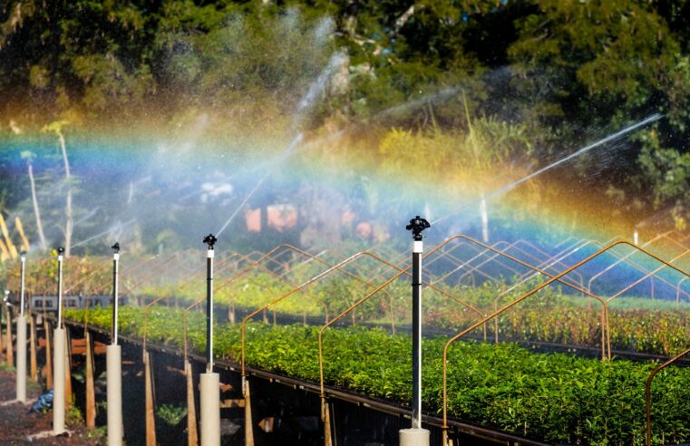 COP30: Itaipu levará experiência em recuperação de ecossistemas