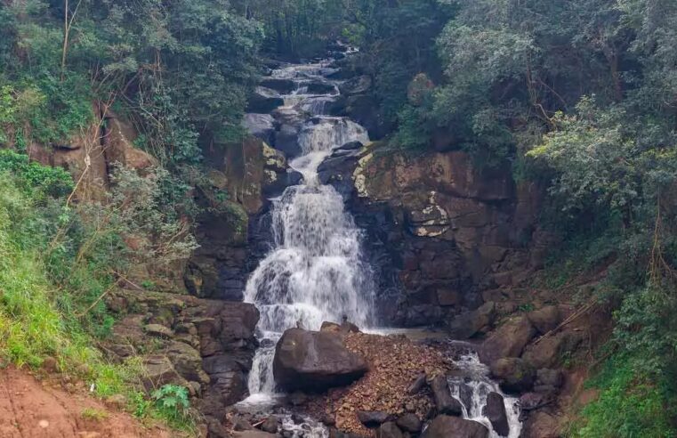 Comunidade se une em mutirão para limpar Trilha e Cachoeira do Eremita em Foz do Iguaçu