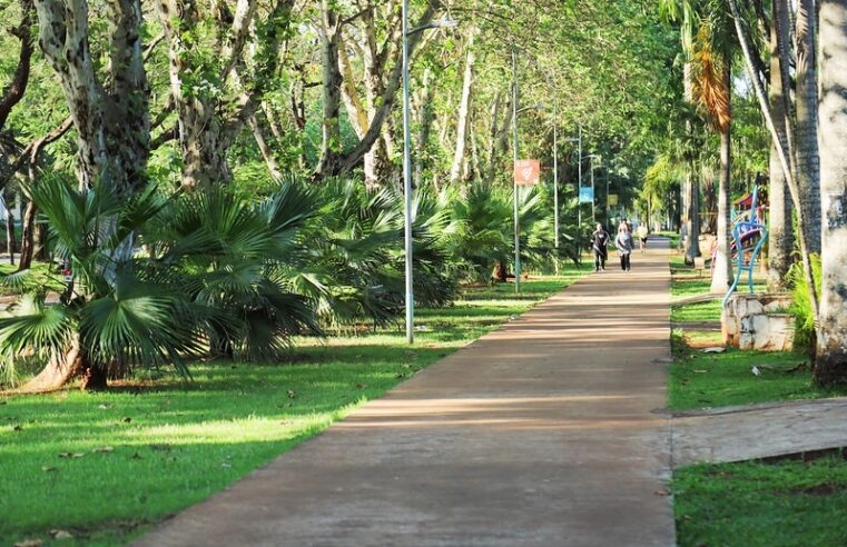 Foztrans implanta nova faixa elevada para pedestres na Avenida Paraná