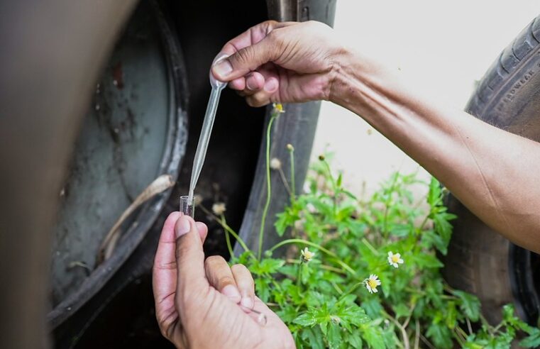 Comitê da Dengue realiza vistorias em imóveis com risco de focos do Aedes aegypti na quarta-feira (22)