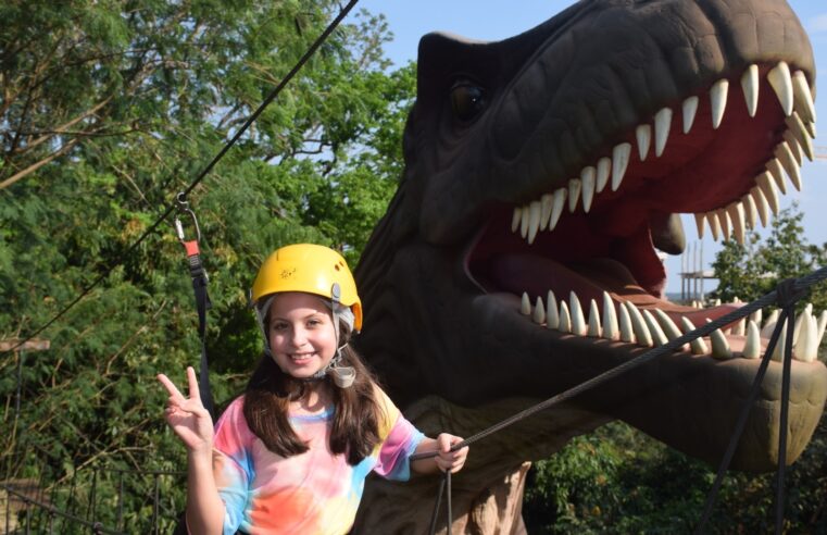 Feriadão: Dreams Ice Bar terá sessões extras para atender turistas em Foz do Iguaçu