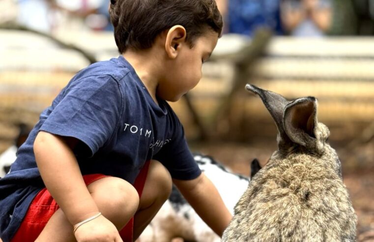Eco Park Foz celebra aniversário com entrada gratuita para moradores de Foz e descontos especiais para outras cidades