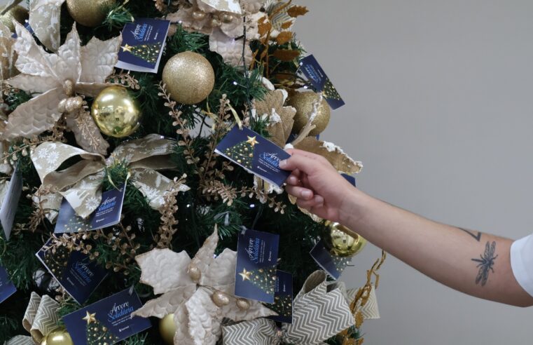 Itamed lança Árvore Solidária e convida a comunidade para fazer o bem neste Natal