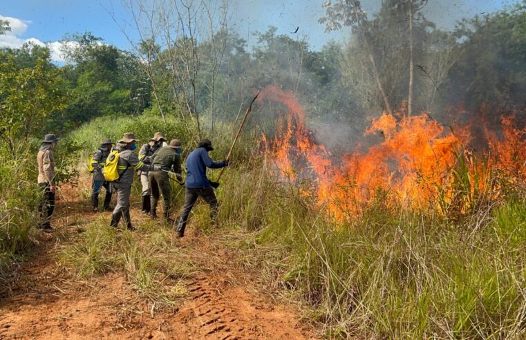Itaipu registra redução histórica no índice de incêndios florestais em 2025