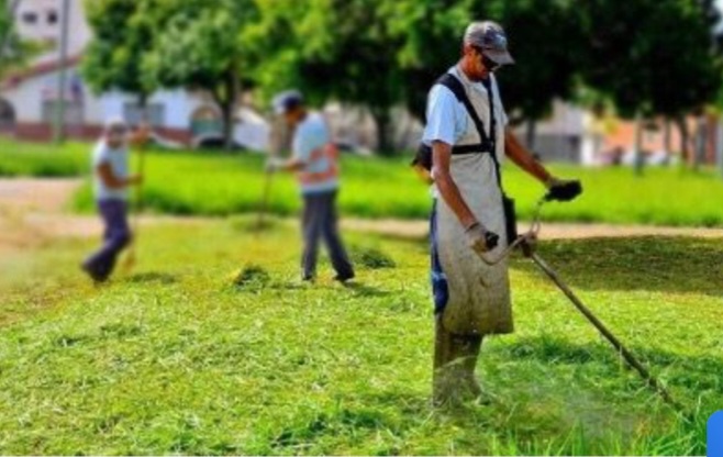 Gestão ambiental avança em Foz do Iguaçu com mais de 180 ações e 6 mil novas árvores plantadas